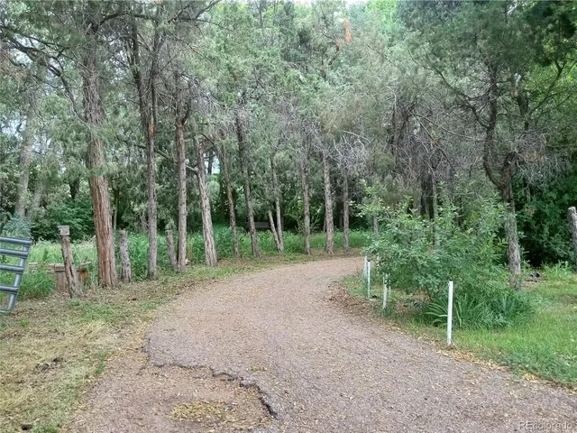 a view of outdoor space and trees
