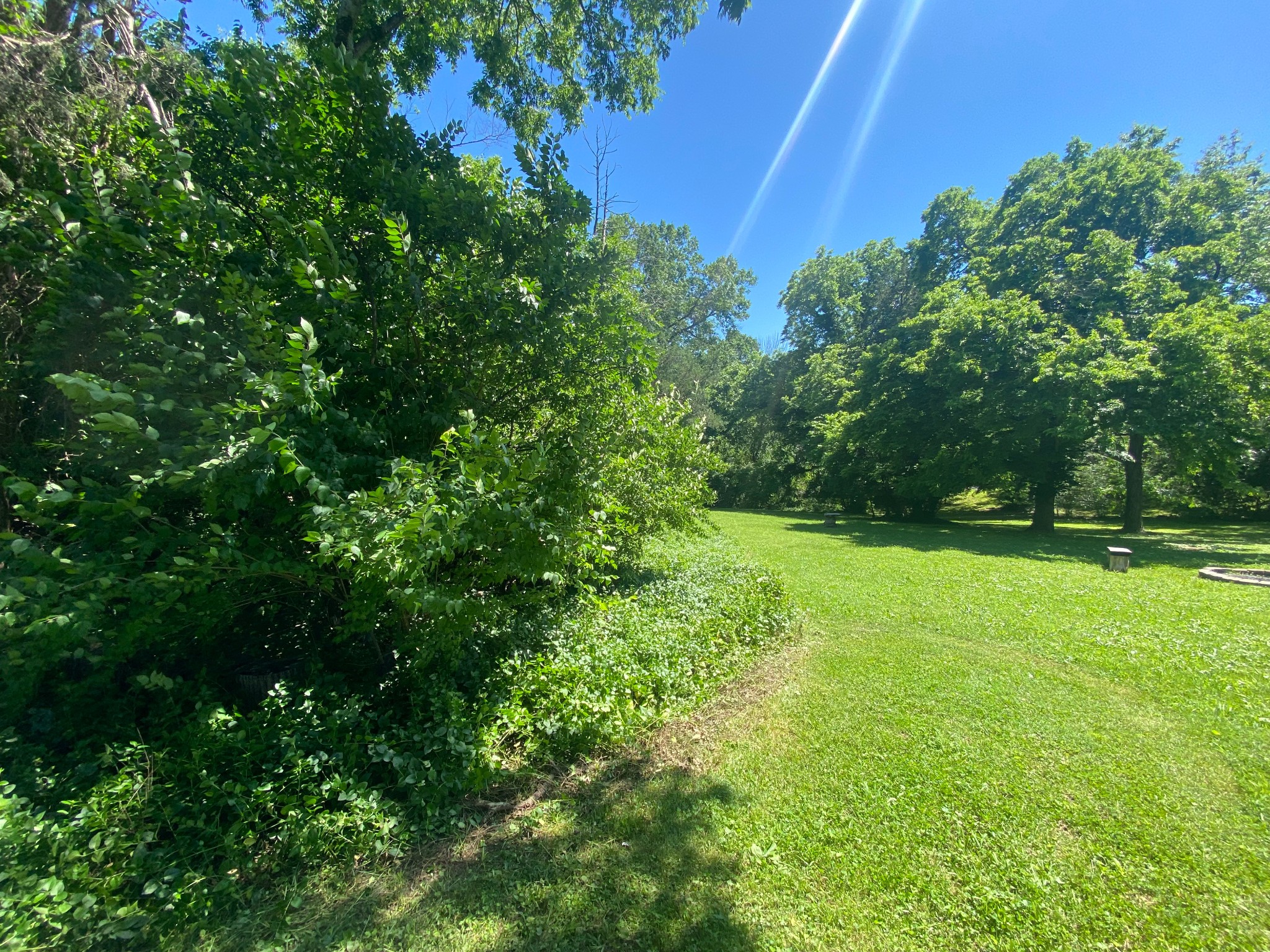 0 Grapevine Avenue Madison, TN 37115 - Photo 2 of 7