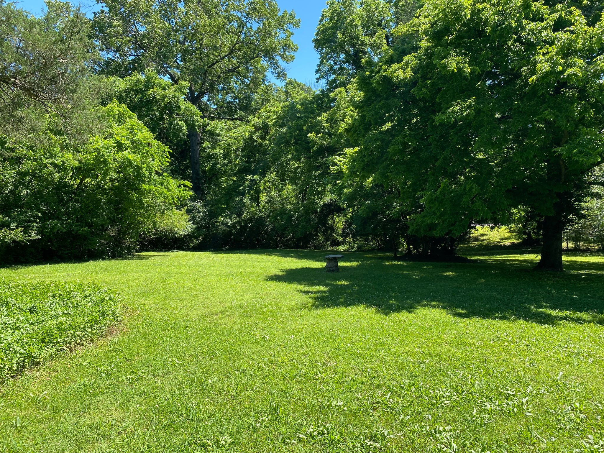 0 Grapevine Avenue Madison, TN 37115 - Photo 3 of 7