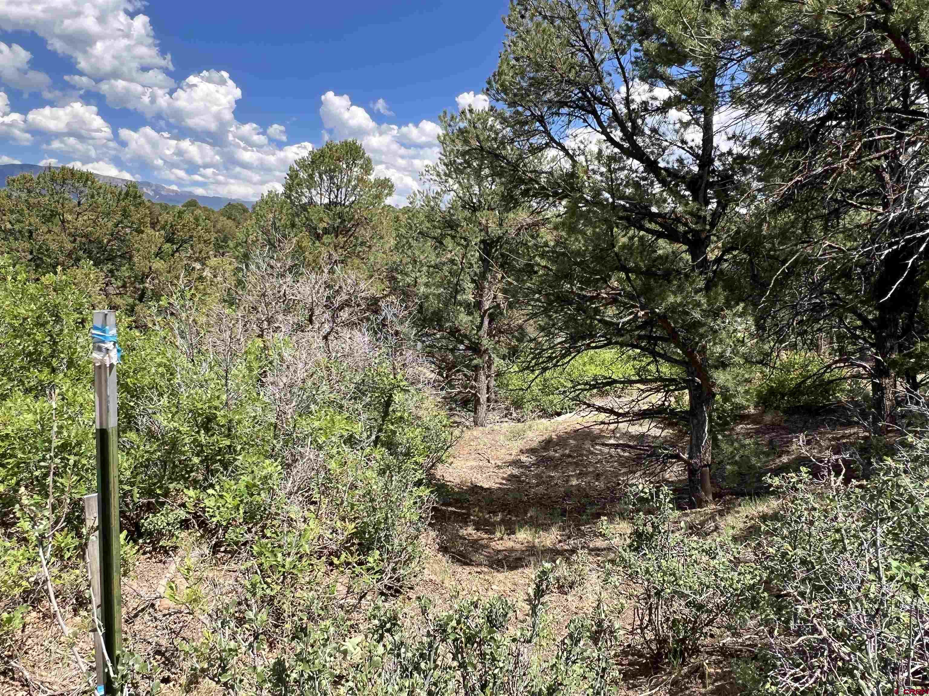Lot 9 Pointe Escape Drive Ridgway, CO 81432 - Photo 14 of 33