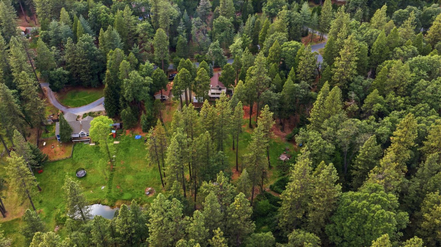 4061 Cedar Drive Georgetown, CA 95634 - Photo 62 of 63