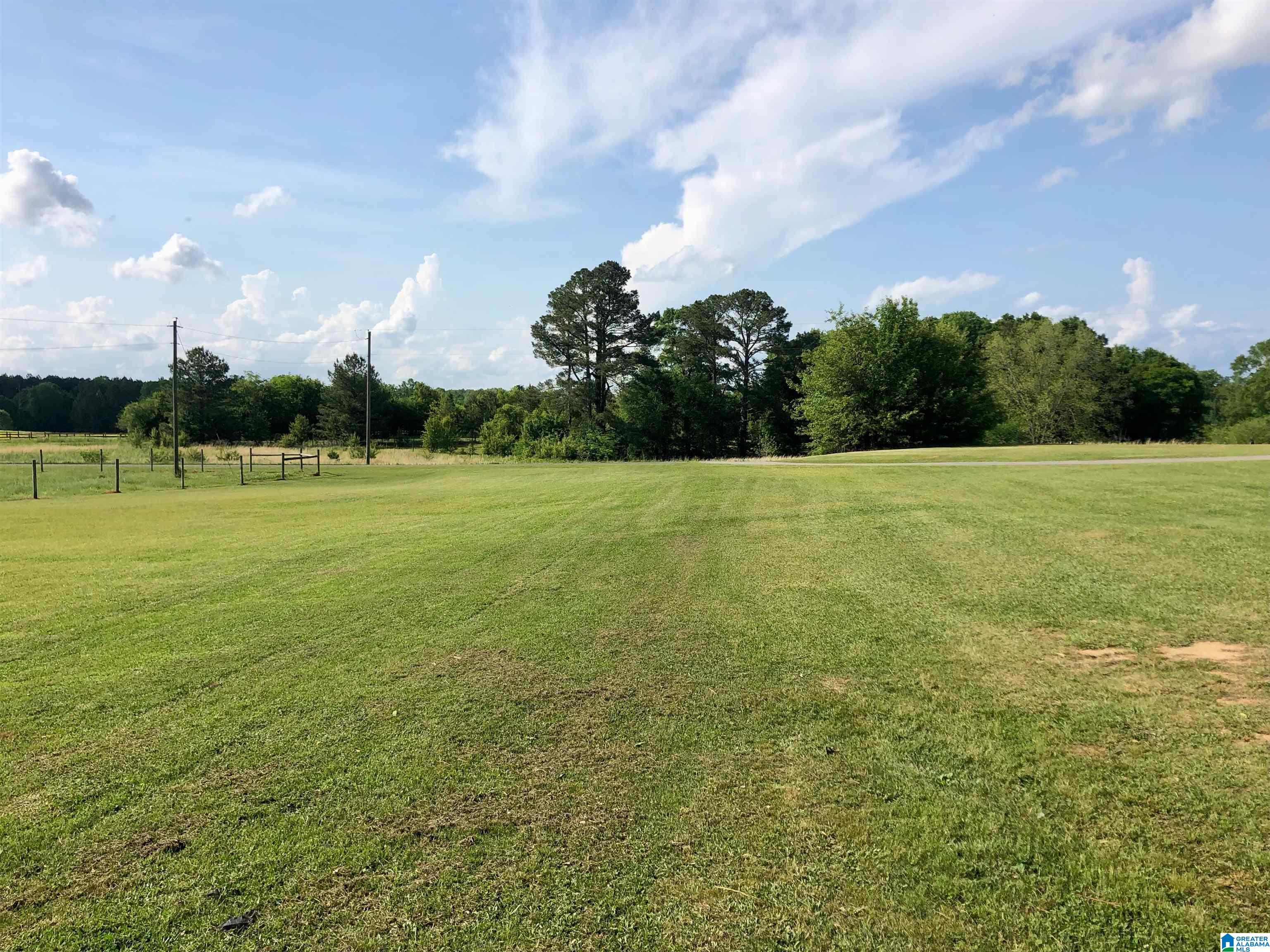 2350 Blue Spring Road Wilsonville, AL 35186 - Photo 7 of 26