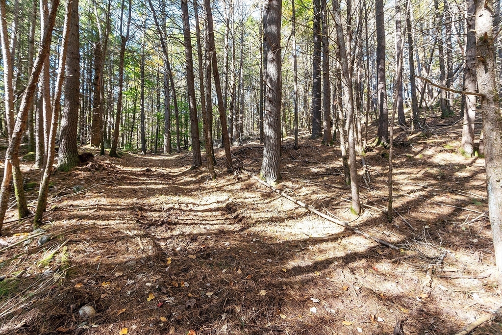 0 Orange Road Warwick, MA 01378 - Photo 5 of 5 a view of house with yard and trees in the background