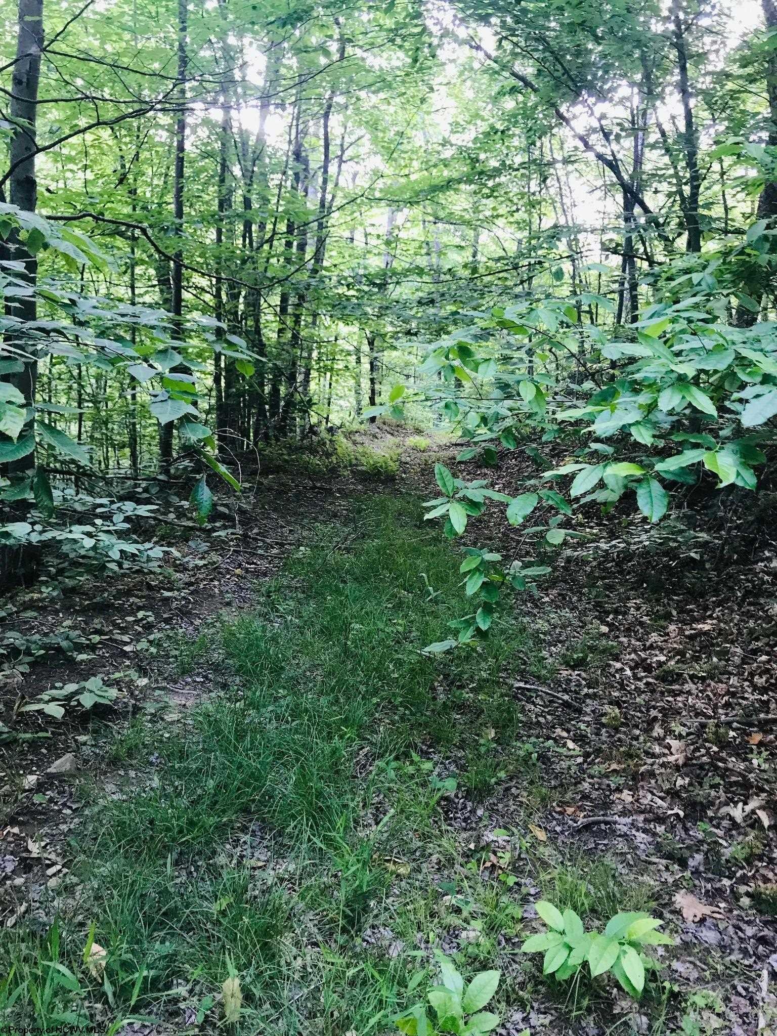 0 Heaston Ridge Crawford, WV 26343 - Photo 1 of 12 Gallery Image 1