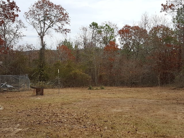2085 Jackson Road Roberta, GA 31078 - Photo 22 of 31 a view of outdoor space