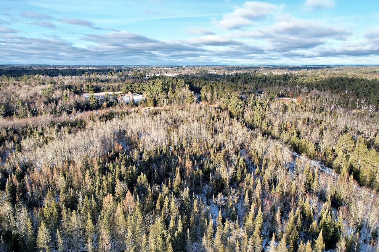 Lot Sundstein Sundstein Road Eagle River, WI 54521 - Photo 8 of 12 Gallery Image 8