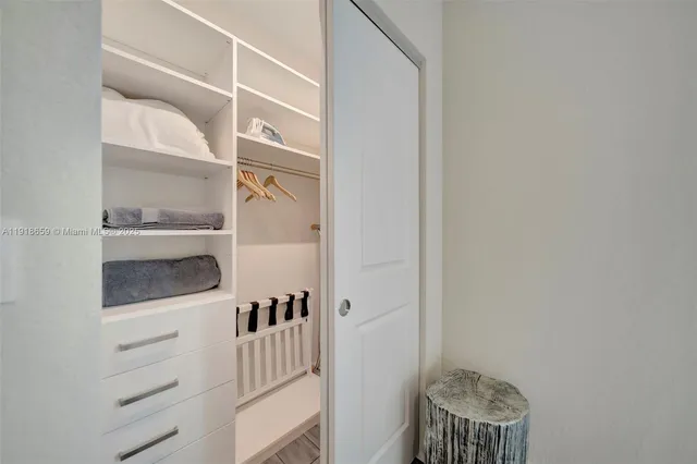 a view of walk in closet