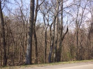 3695 Academy Road Portland, TN 37148 - Photo 1 of 3