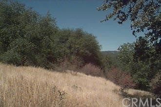 Streeter Mtn Road Mariposa, CA 95338 - Photo 1 of 1 Gallery Image 1