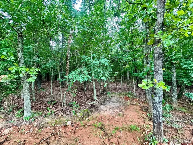 $52,500 | 0 Co Road, Salem, MO 65560