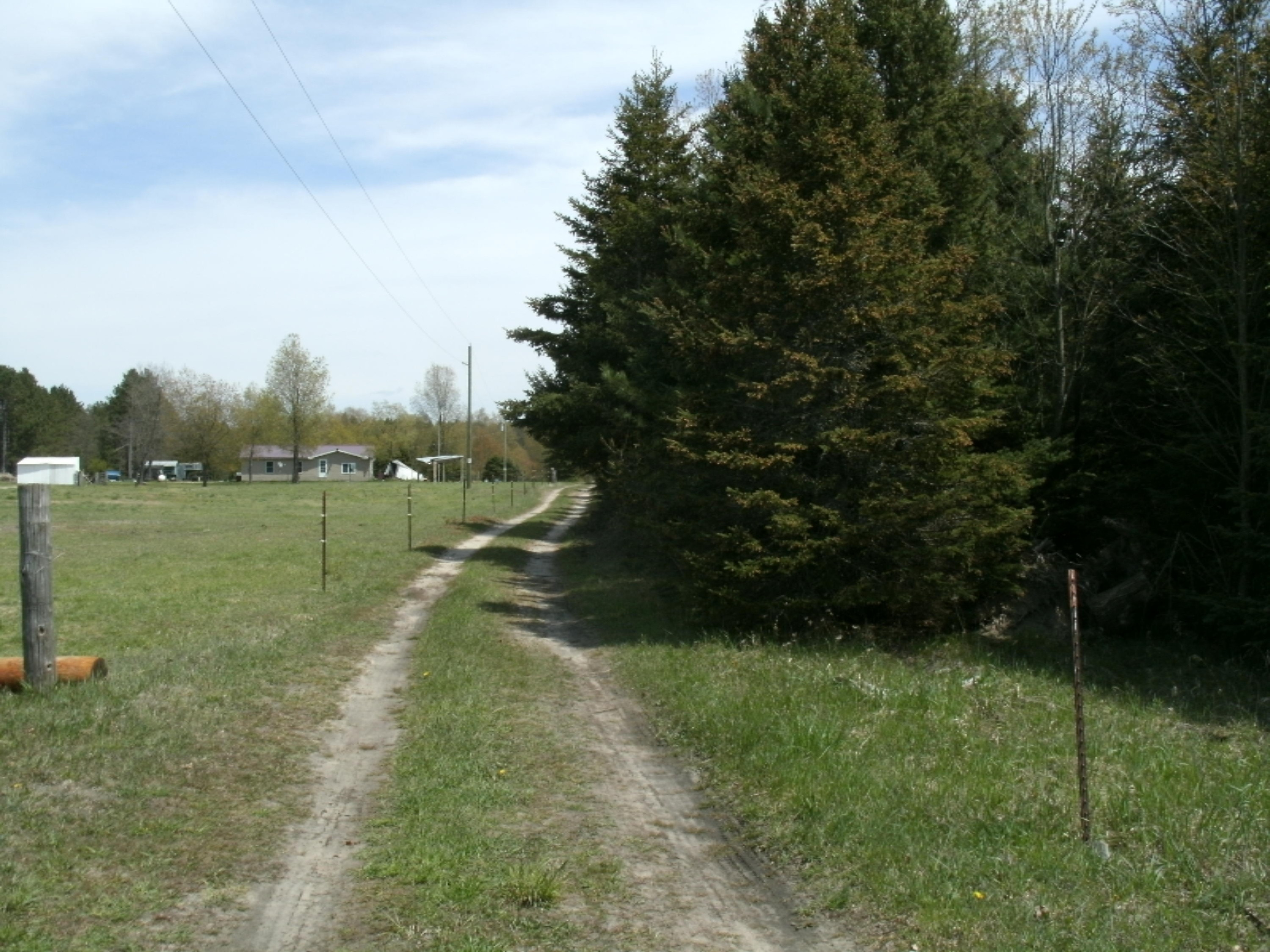 8625 Mc Martin Road Kaleva, MI 49645 - Photo 7 of 18 GEDC0008