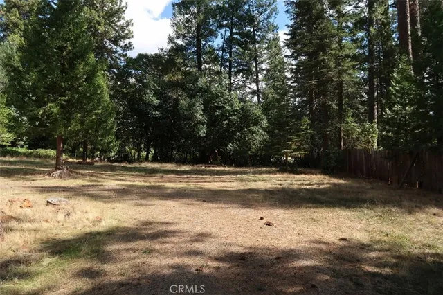 a view of a yard with trees