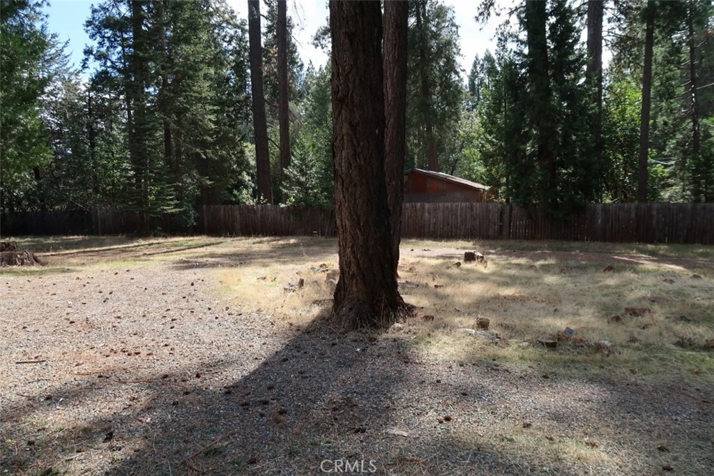 19138 New York Flat Road Forbestown, CA 95941 - Photo 36 of 37 a view of a yard with trees
