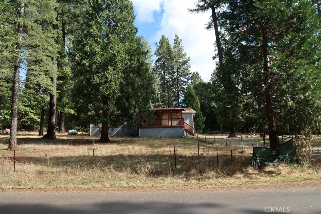 19138 New York Flat Road Forbestown, CA 95941 - Photo 7 of 37 a backyard of a house with lots of green space