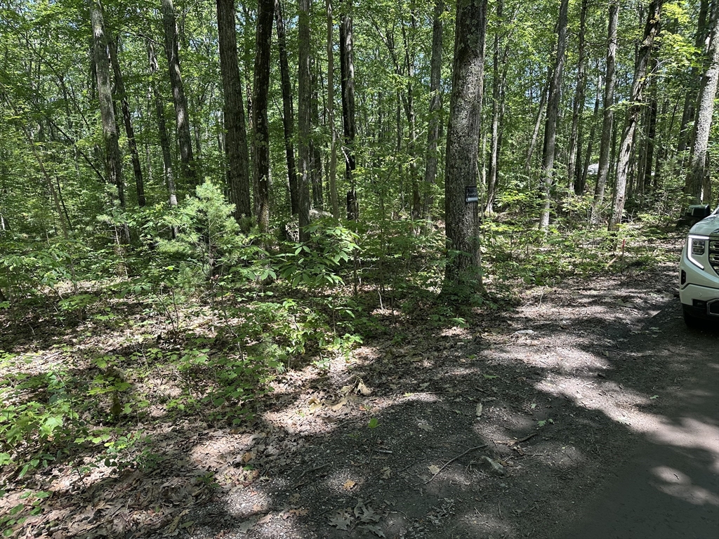 37 Irish Lane Rutland, MA 01543 - Photo 4 of 6