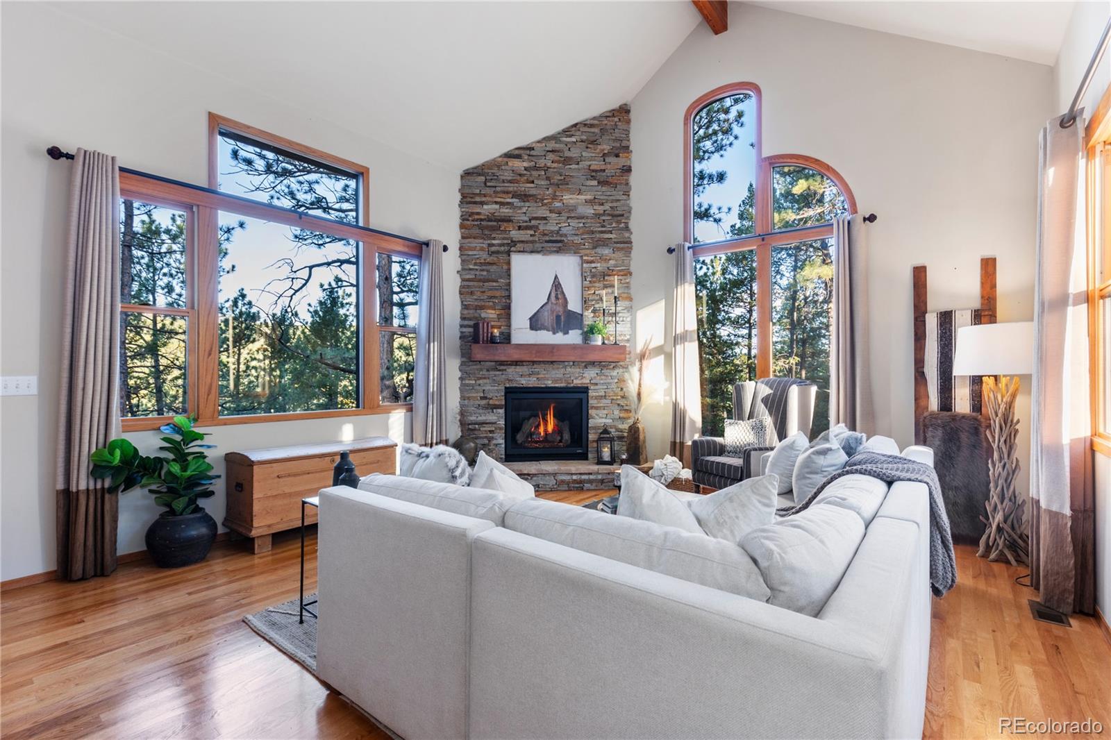 9059 William Cody Drive Evergreen, CO 80439 - Photo 4 of 50