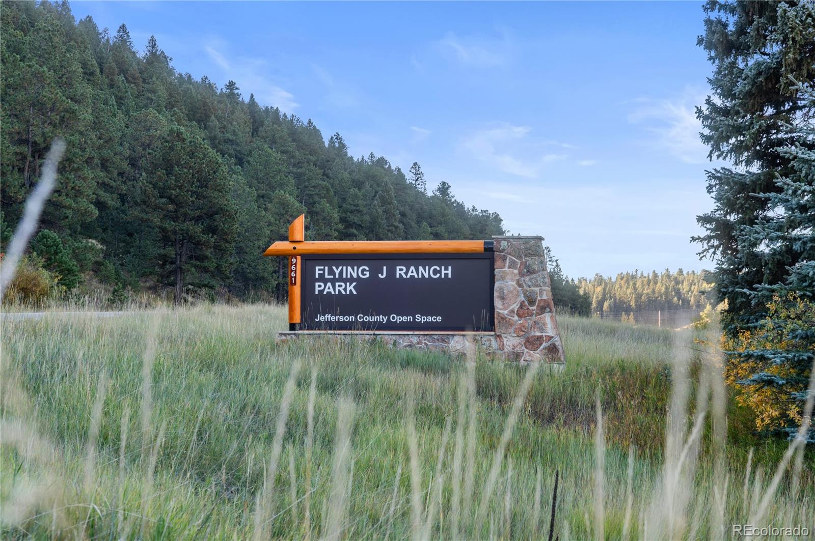 9059 William Cody Drive Evergreen, CO 80439 - Photo 47 of 50