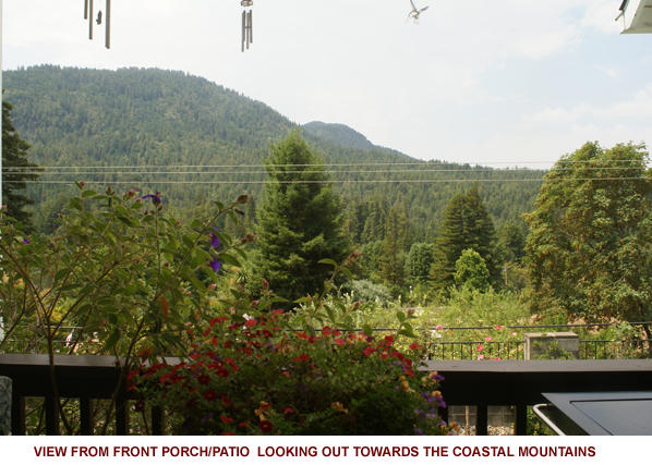 66 Madrone Road Weott, CA 95571 - Photo 19 of 40 NO. 26 VIEW TOWARDS COASTAL MOUNTAINS