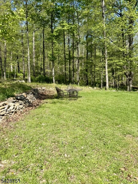 160 West Mill Road Long Valley, NJ 07853 - Photo 2 of 23