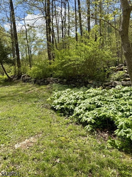 160 West Mill Road Long Valley, NJ 07853 - Photo 22 of 23