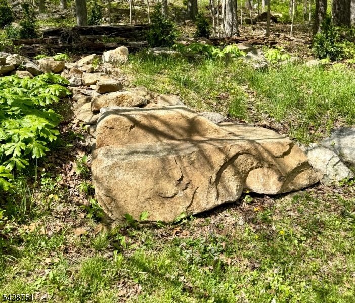 160 West Mill Road Long Valley, NJ 07853 - Photo 23 of 23