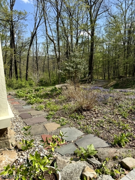 160 West Mill Road Long Valley, NJ 07853 - Photo 4 of 23
