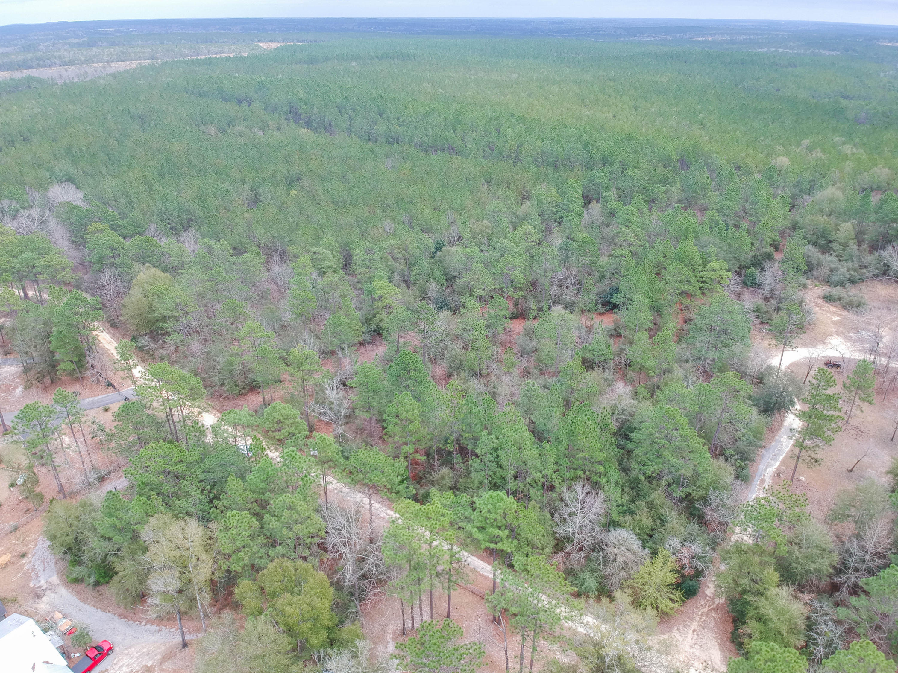 0 Spring Lake Road DeFuniak Springs, FL 32433 - Photo 8 of 16 a view of a field of grass and trees