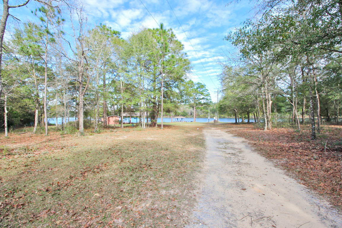 0 Spring Lake Road DeFuniak Springs, FL 32433 - Photo 10 of 16 a view of outdoor space with trees