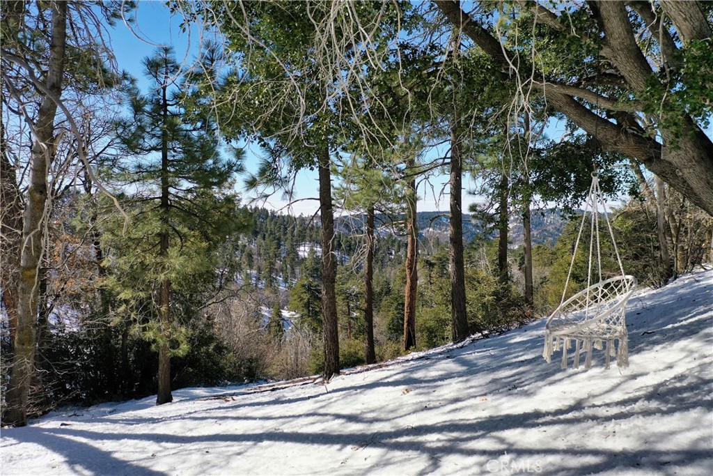 32945 Juniper Lane Green Valley Lake, CA 92341 - Photo 38 of 53 a view of a street