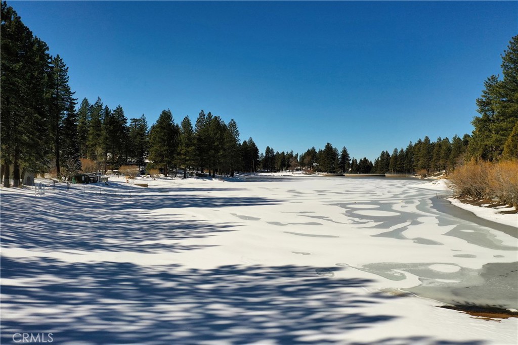 32945 Juniper Lane Green Valley Lake, CA 92341 - Photo 44 of 53