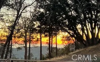 a view of outdoor space with trees