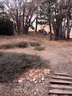 32945 Juniper Lane Green Valley Lake, CA 92341 - Photo 47 of 53 a view of outdoor space with trees