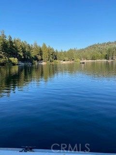 32945 Juniper Lane Green Valley Lake, CA 92341 - Photo 51 of 53 a view of a lake with a big yard