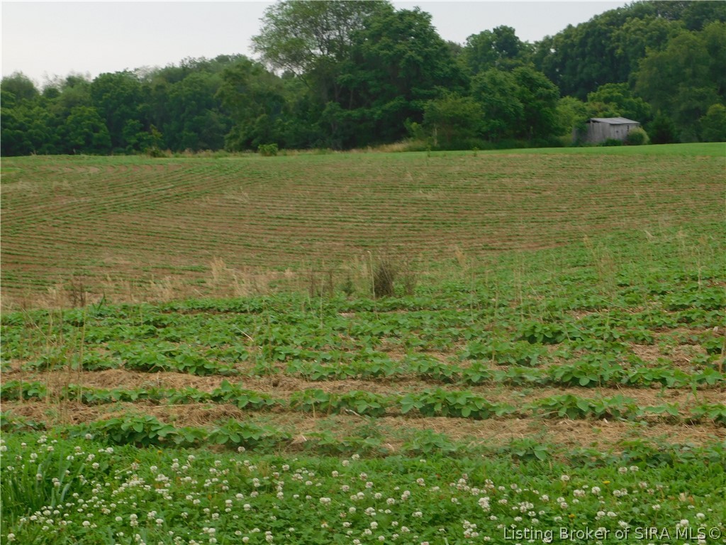 8960 Turkey Farm Road Northwest New Salisbury, IN 47161 - Photo 12 of 20