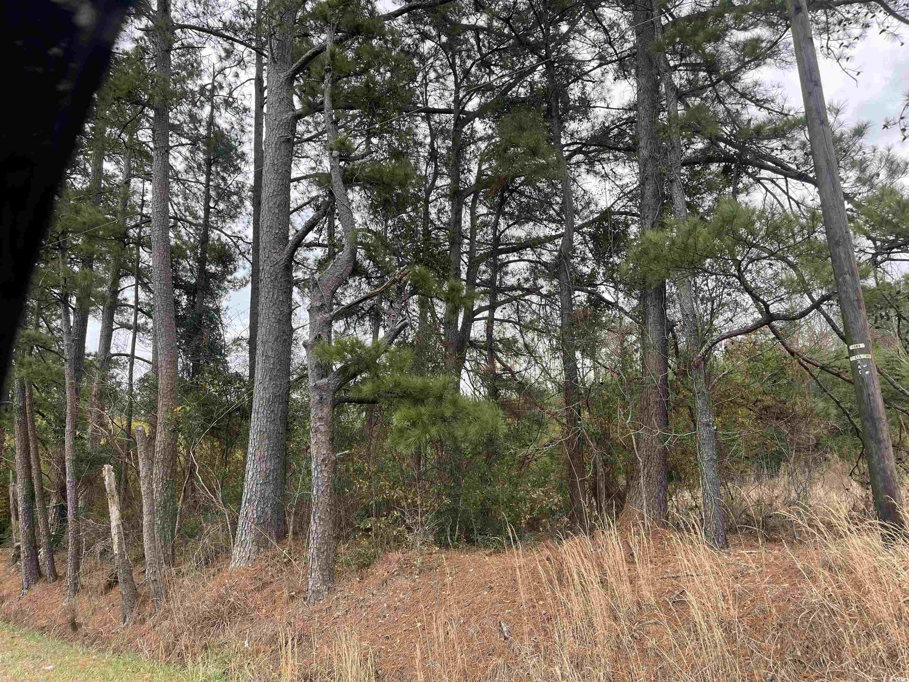 917 Nichols Sc 29581 Nichols, SC 29581 - Photo 2 of 6