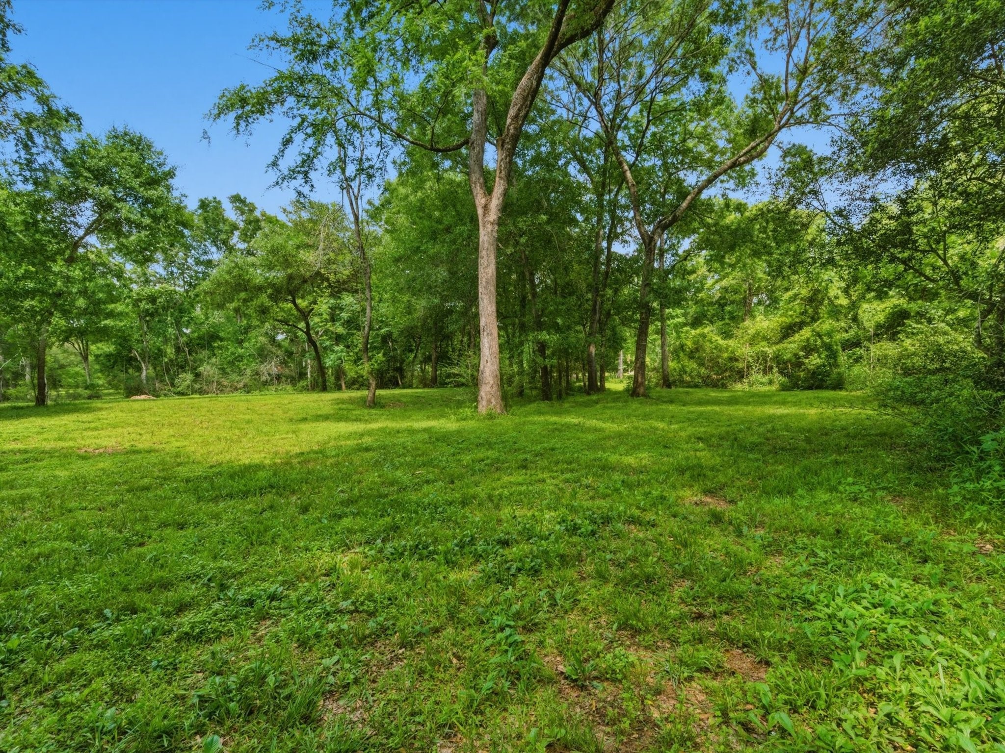 27855 Kresdorn Road Hockley, TX 77447 - Photo 12 of 24 a backyard of a house with lots of green space