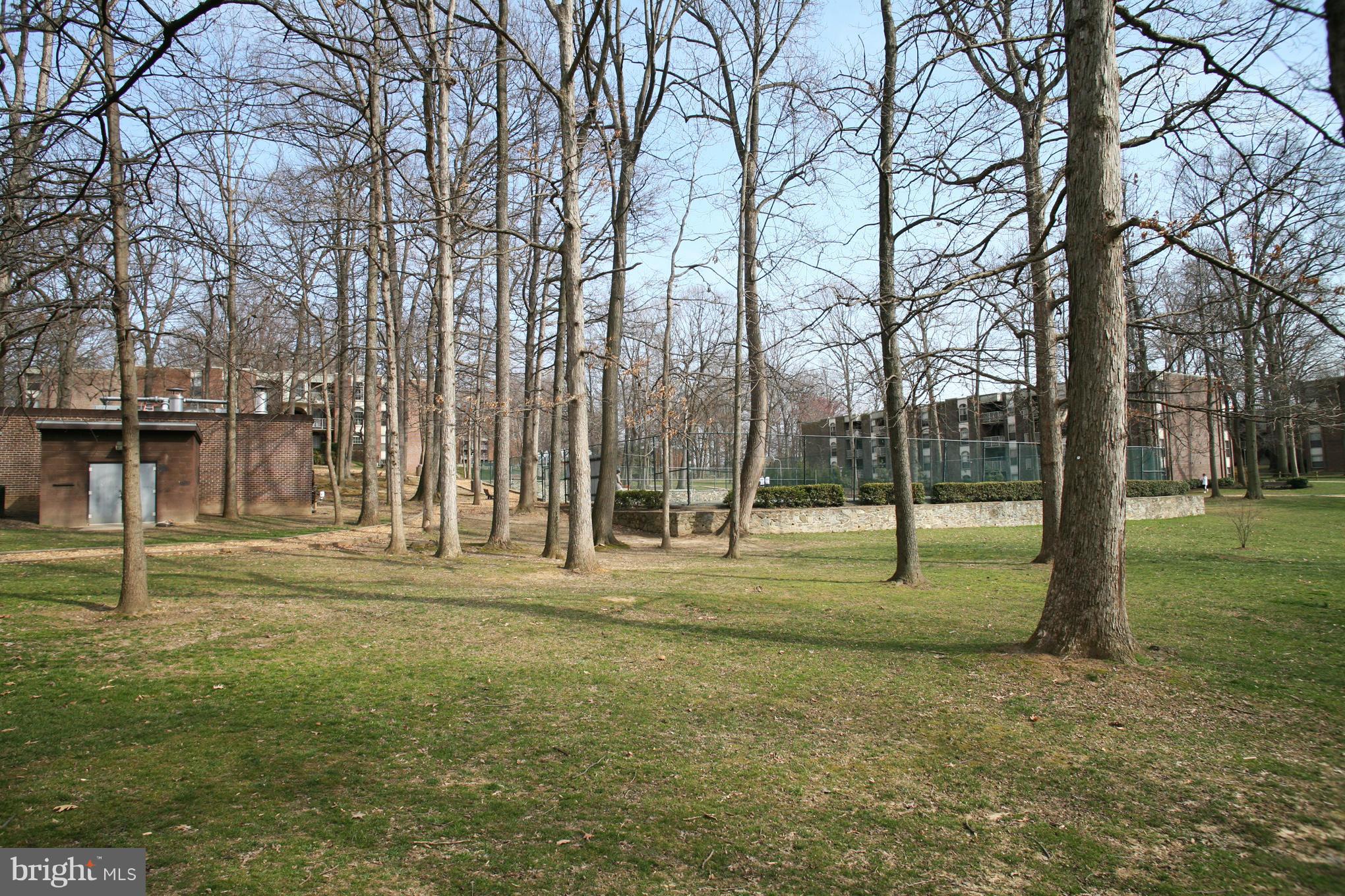 8302 Tobin Road, Unit 33 Annandale, VA 22003 - Photo 28 of 30 Community