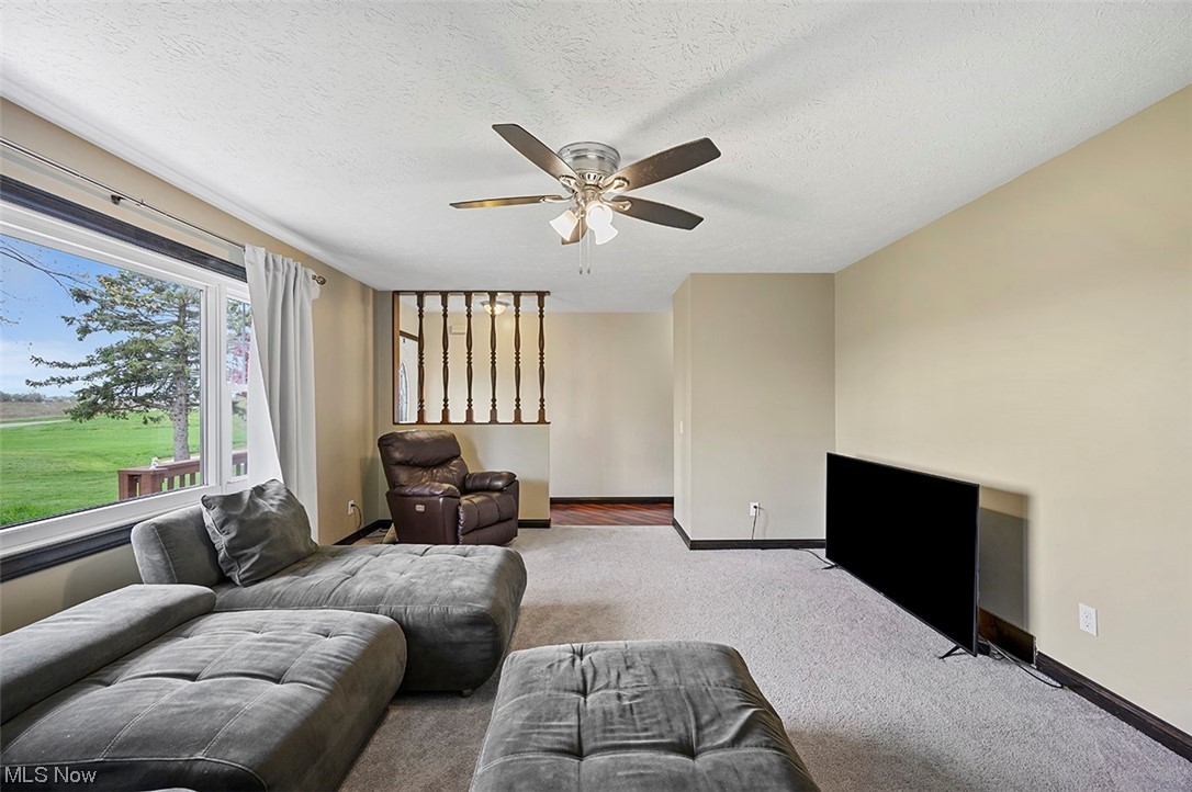 8991 Stone Road Litchfield, OH 44253 - Photo 7 of 34 Gallery Image 7