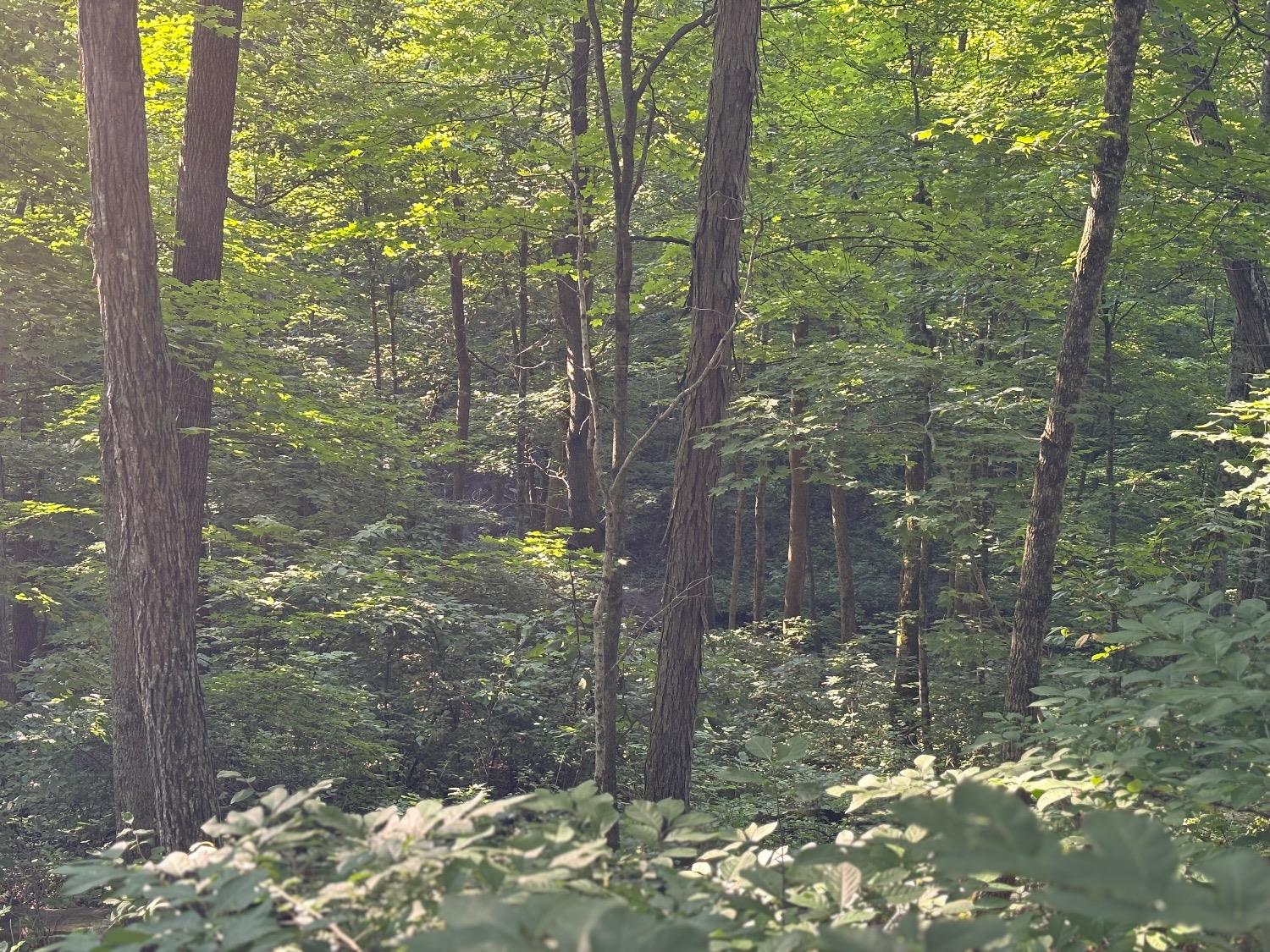 5167 Hill Road Brookville, IN 47012 - Photo 3 of 27 Gallery Image 3