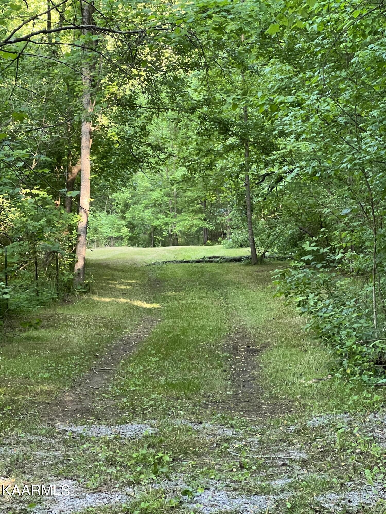 Reagan Mill Road Maryville, TN 37803 - Photo 1 of 6 IMG-2484