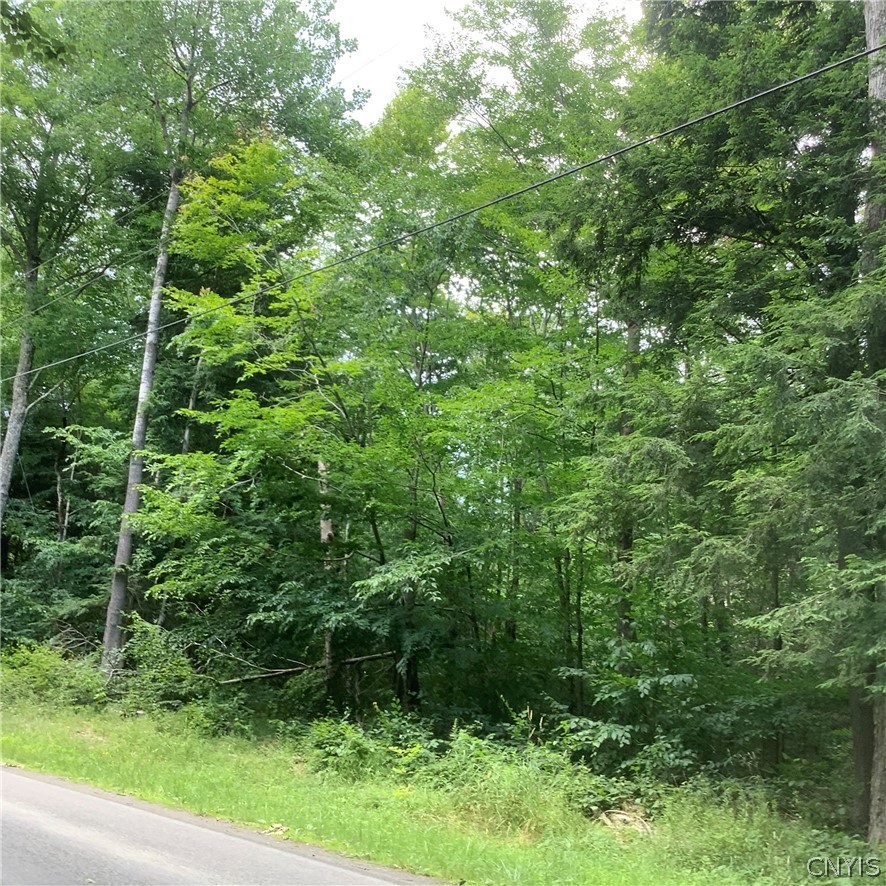 209 East Hill Road Marathon, NY 13803 - Photo 1 of 1 Gallery Image 1