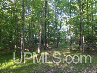 Tbd Maggie Point Road, Unit 11E Crystal Falls, MI 49920 - Photo 8 of 13