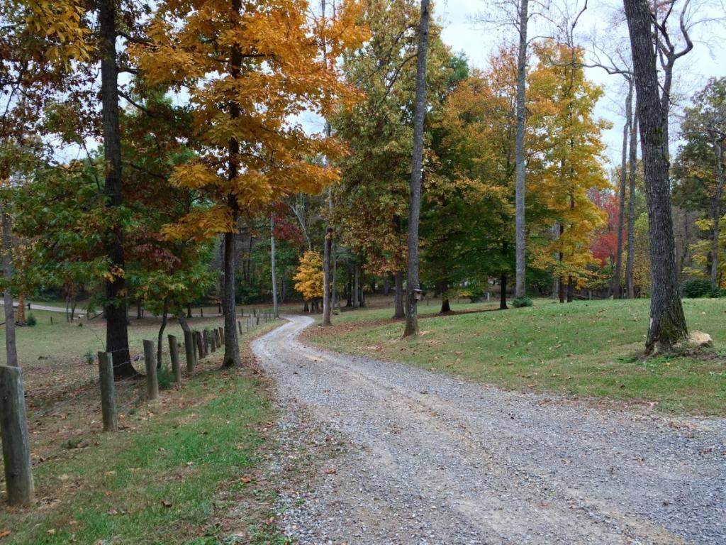 195 Saylor Hill Road Limestone, TN 37681 - Photo 5 of 35 Photo 5