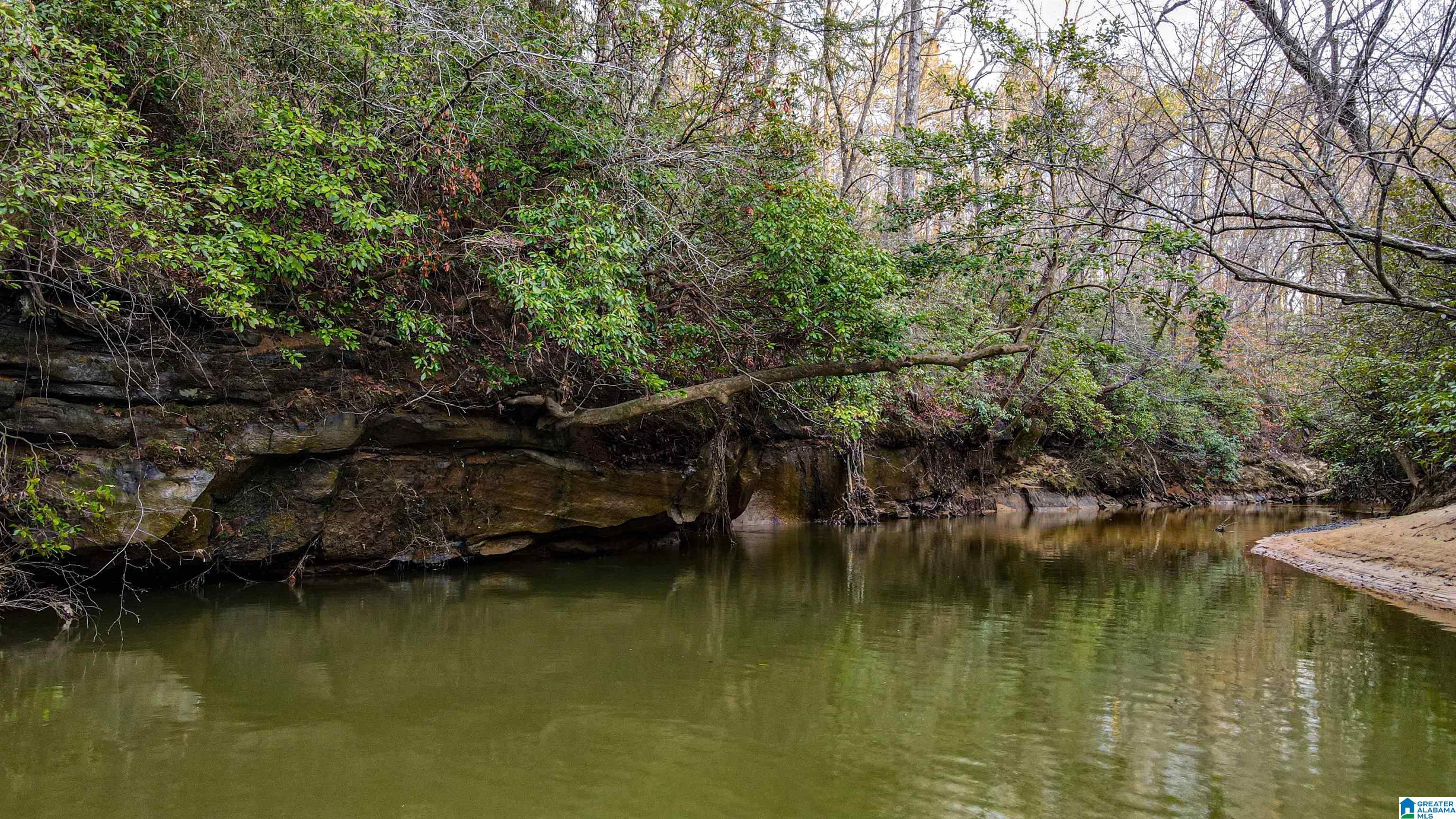339 County Road Nauvoo, AL 35578 - Photo 6 of 57