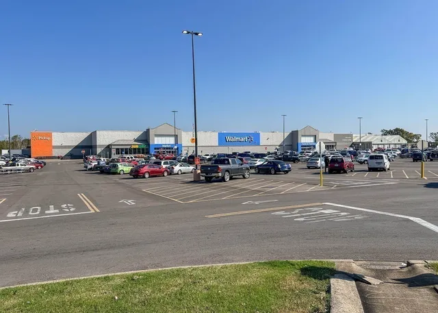 a house view with a garden
