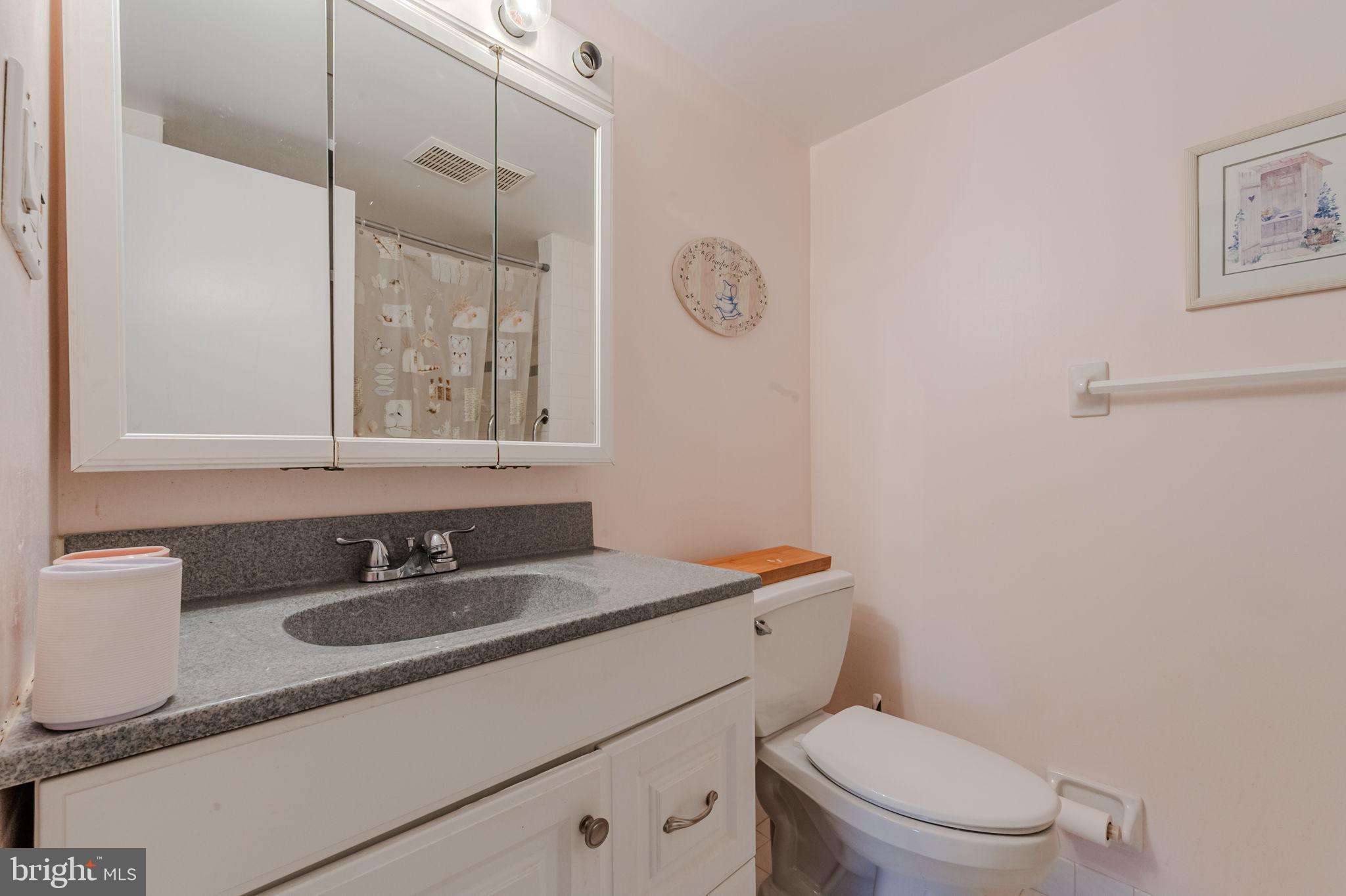 801 South Chester Road, Unit 210 Swarthmore, PA 19081 - Photo 6 of 15 Master Bath