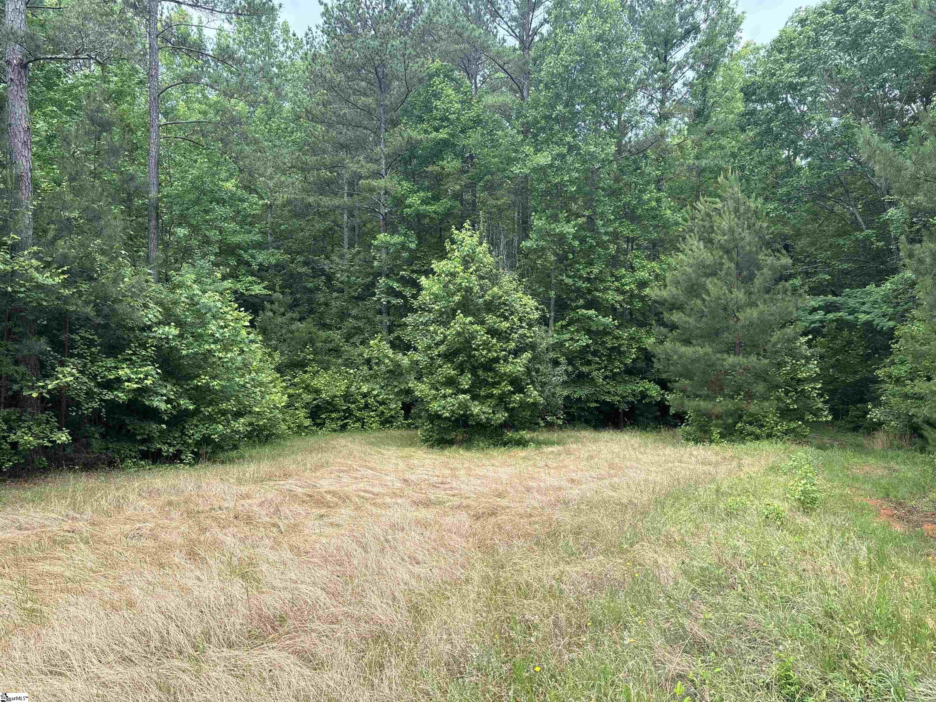 1087 Bobby Faucette Road Jonesville, SC 29353 - Photo 3 of 47