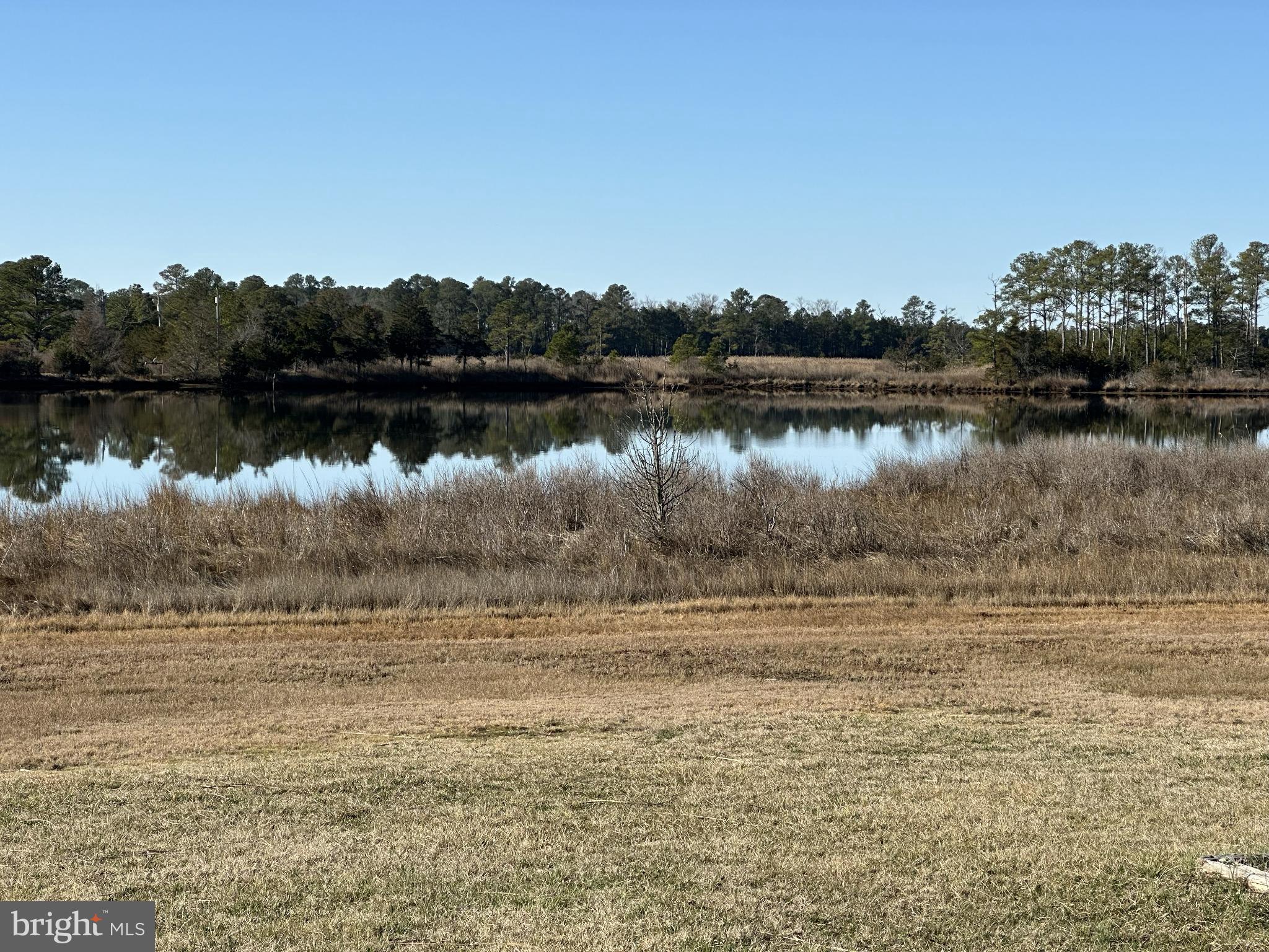 10148 Champ Road Princess Anne, MD 21853 - Photo 11 of 16 Serene mirror water views reflect nature's beauty.