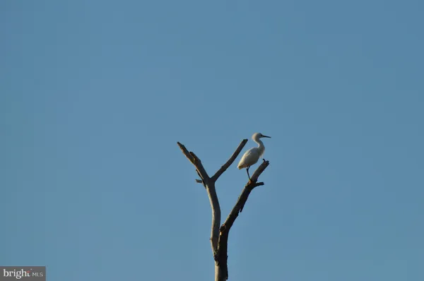 $829,900 | 10148 Champ Road, Princess Anne, MD 21853