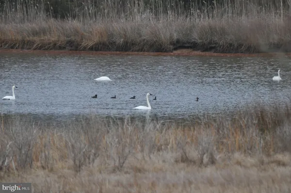 $829,900 | 10148 Champ Road, Princess Anne, MD 21853